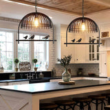 Load image into Gallery viewer, Industrial Style Metal birdcage chandelier
