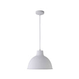 Load image into Gallery viewer, Colorful Iron Ceiling Light Fixture