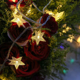 Load image into Gallery viewer, Star String Lights 100 LED Christmas Lights Twinkle Fairy Lamps