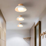 Load image into Gallery viewer, Nordic Eco-friendly Energy-efficient Ceiling Lamp Fixture